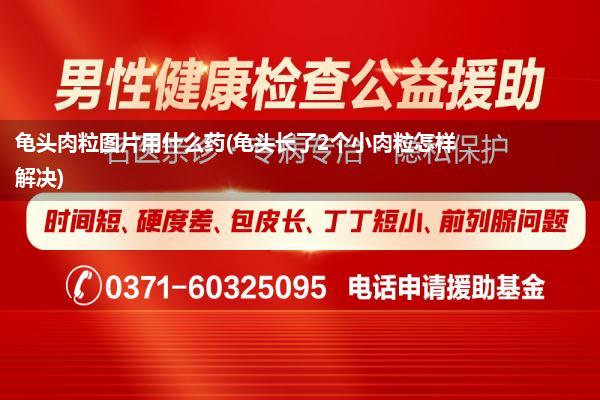 龟头肉粒图片用什么药(龟头长了2个小肉粒怎样解决)