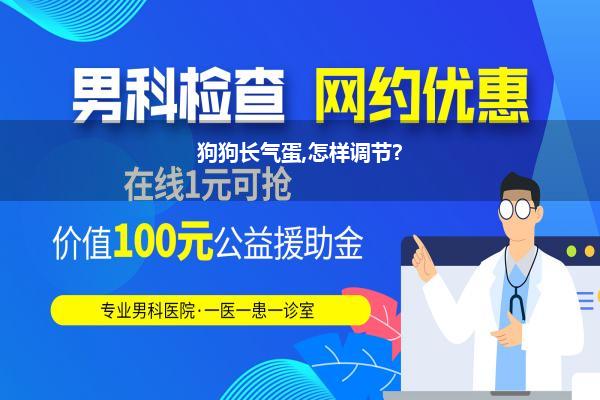 狗狗长气蛋,怎样调节?