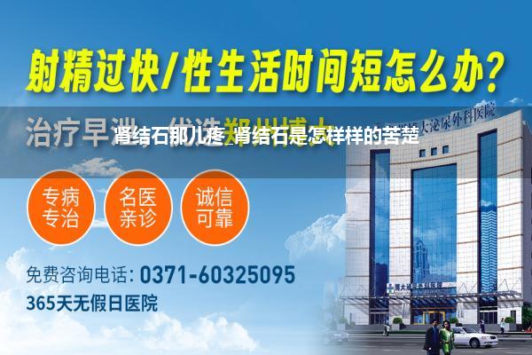 肾结石那儿疼_肾结石是怎样样的苦楚
