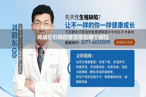 肾结石引起的苦楚是在哪个部位