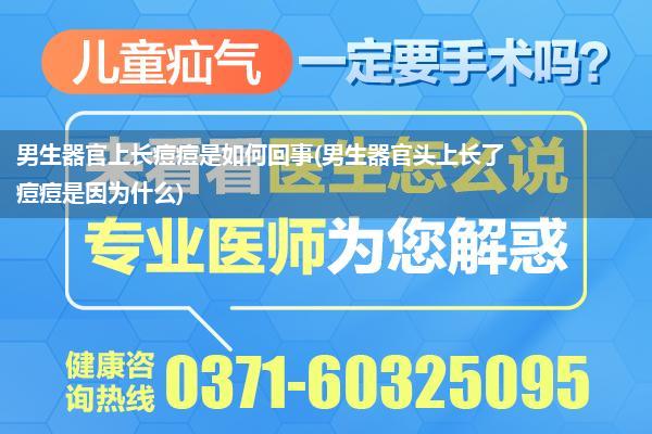 男生器官上长痘痘是如何回事(男生器官头上长了痘痘是因为什么)