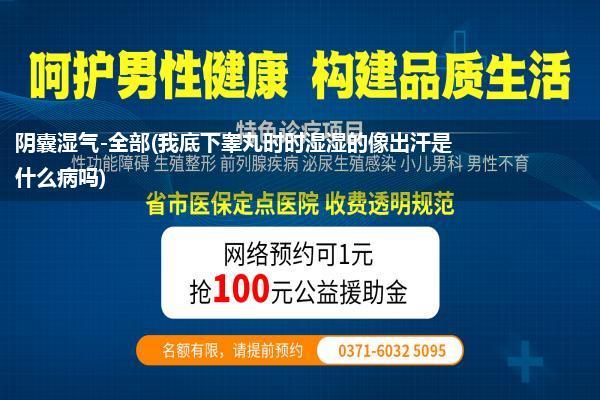 阴囊湿气-全部(我底下睾丸时时湿湿的像出汗是什么病吗)