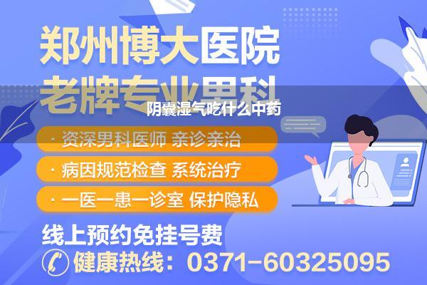阴囊湿气吃什么中药