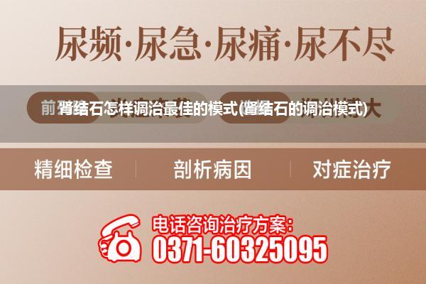 肾结石怎样调治最佳的模式(肾结石的调治模式)